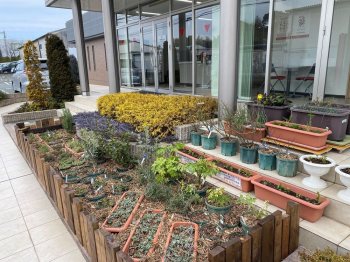 熊本北支店の入口に設置された「食べられる花壇」