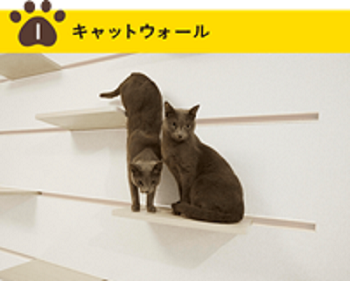 キャットウォール