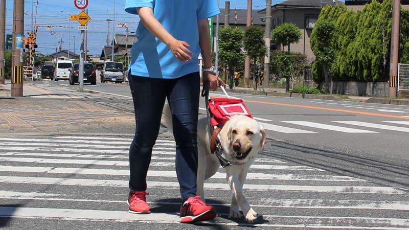 公益財団法人 九州盲導犬協会
