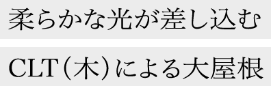 柔らかな光が差し込むCLT（木）による大屋根